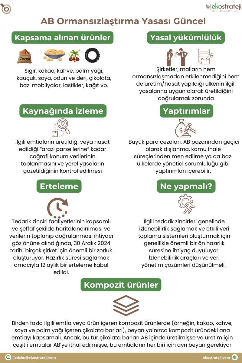 Adsız-_800-x-1200-piksel_-kopyası-_1_