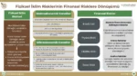 Fiziksel iklim riskleri ve finansal riskler