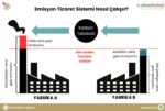 Milli Emisyon Ticaret Sistemi (ETS)