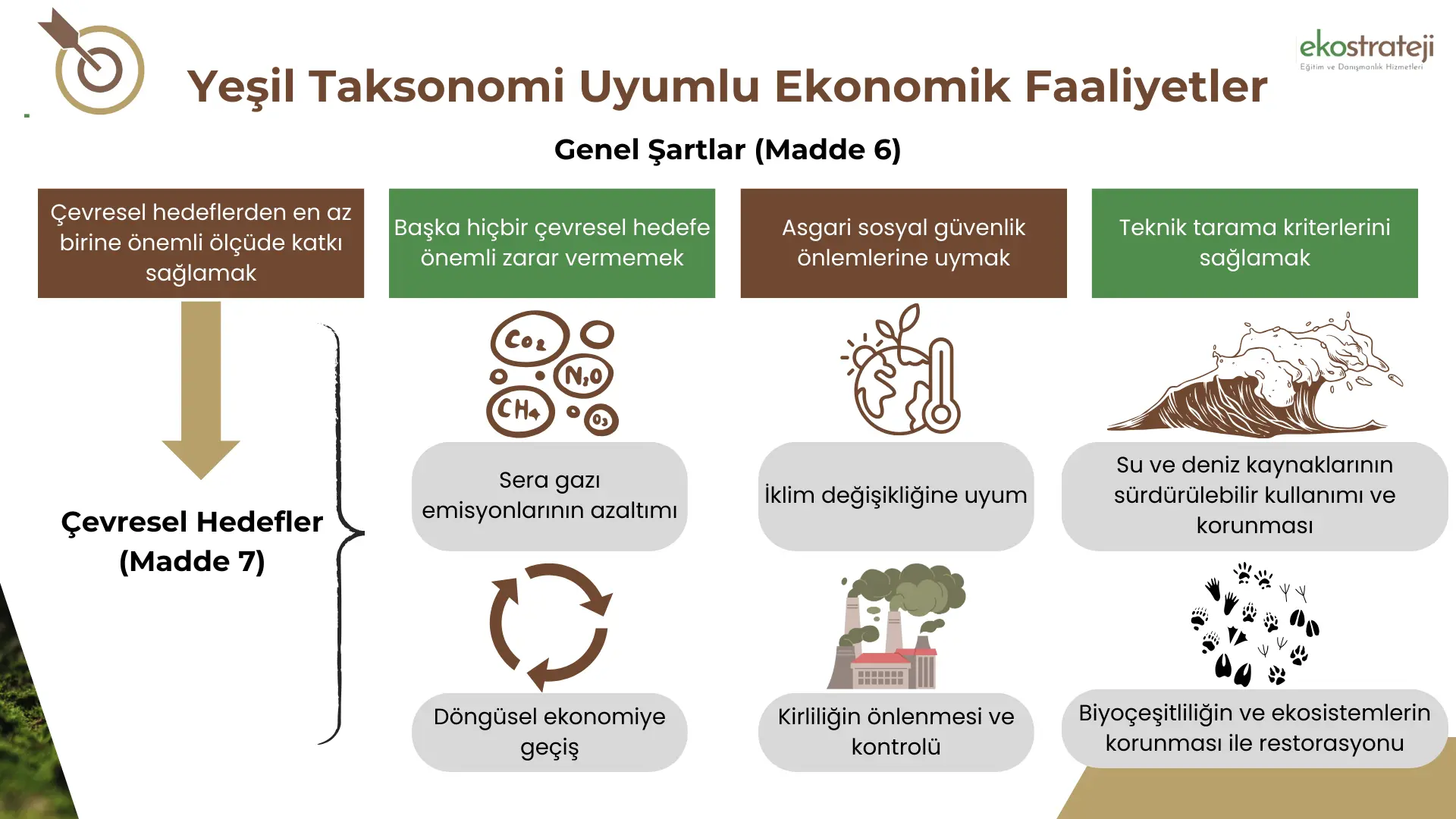 Taksonomi Taksonomi